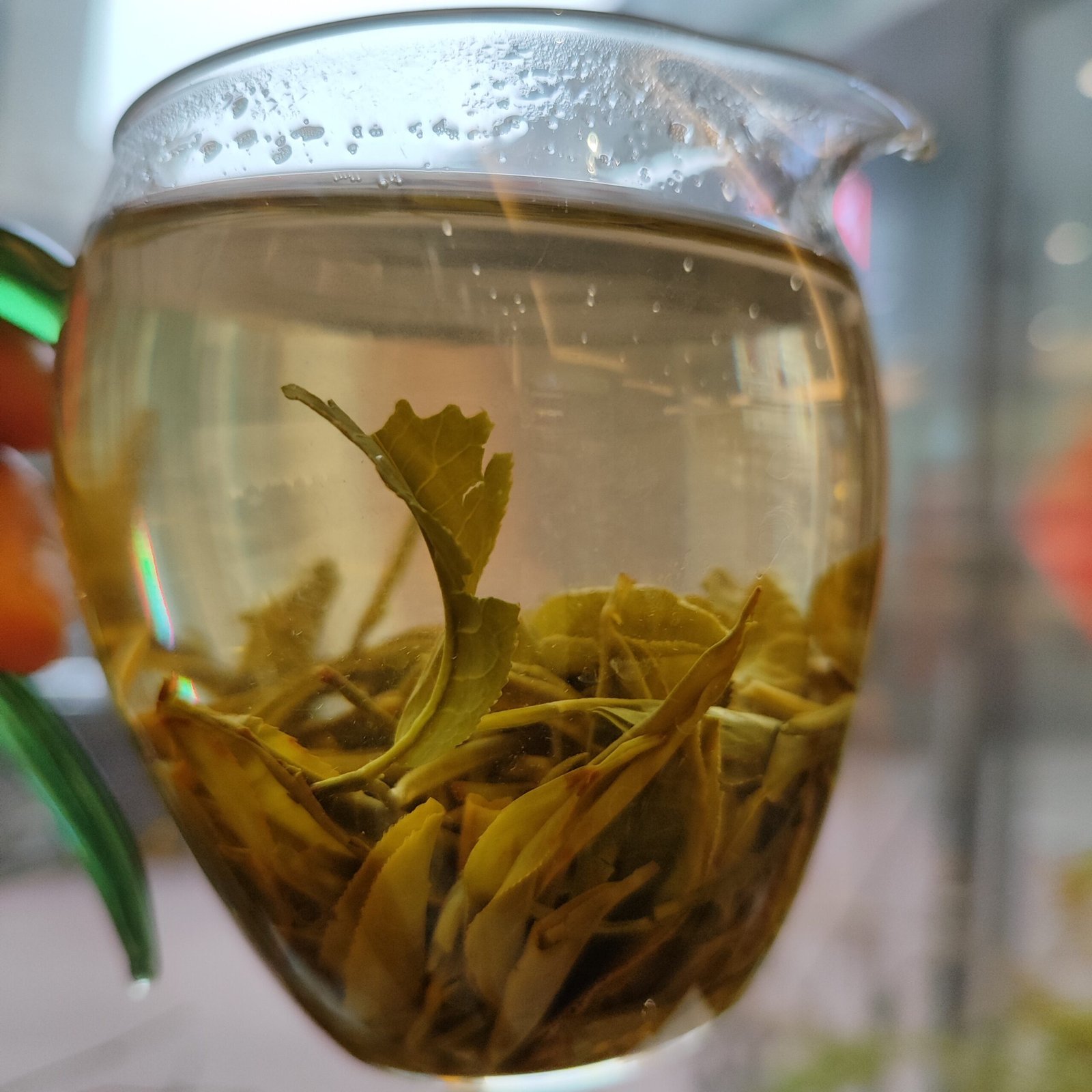 Yunnan Dian Green — 1